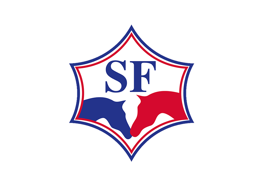 logo sf partners