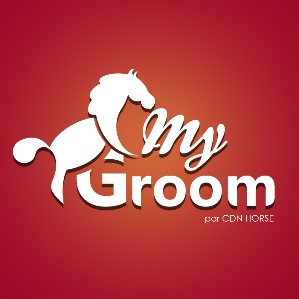 logo cdn horse my groom